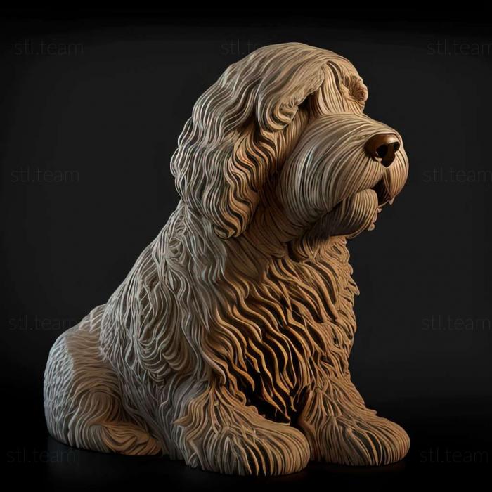 3D модель Іспанська водяна собака (STL)